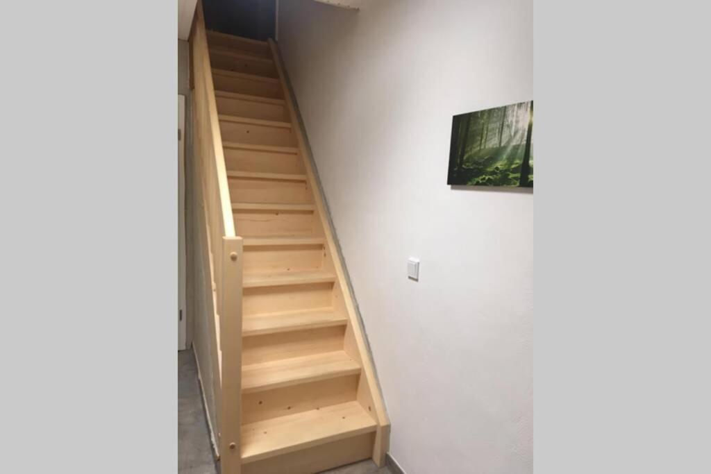 Appartamento Dachgiebeloase Mehlmeisel Esterno foto